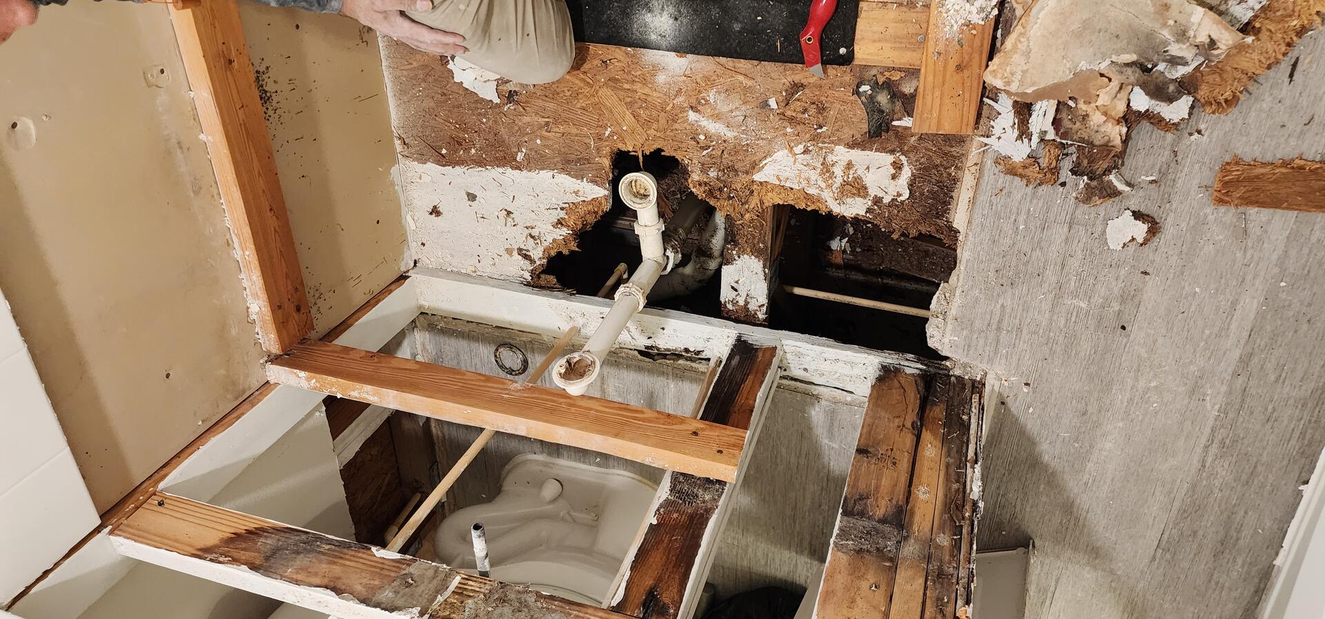 Before and after refresh